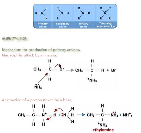 A Level化学——卤代烃类物质性质概述
